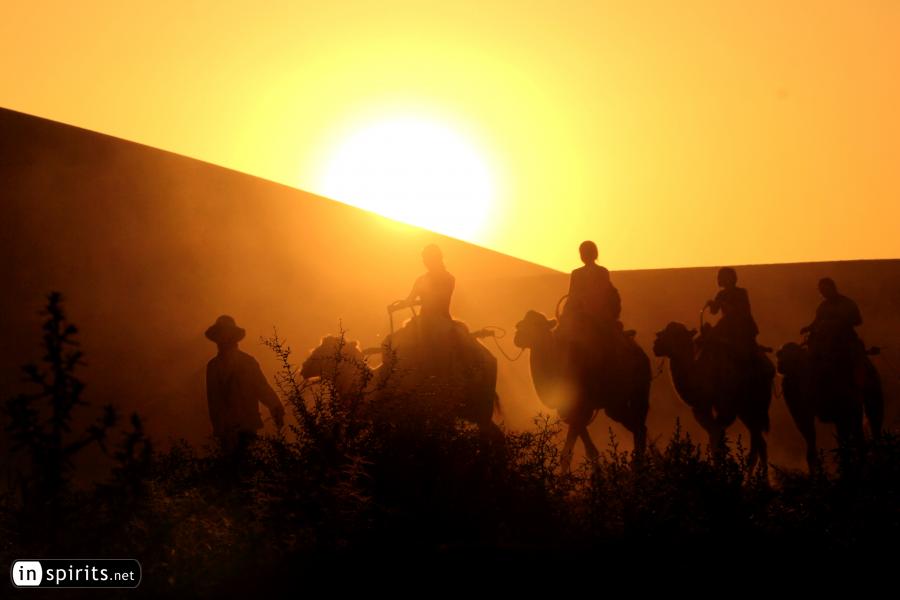 A camel trek riding in the sunset in Dunhuang's Gobi Desert