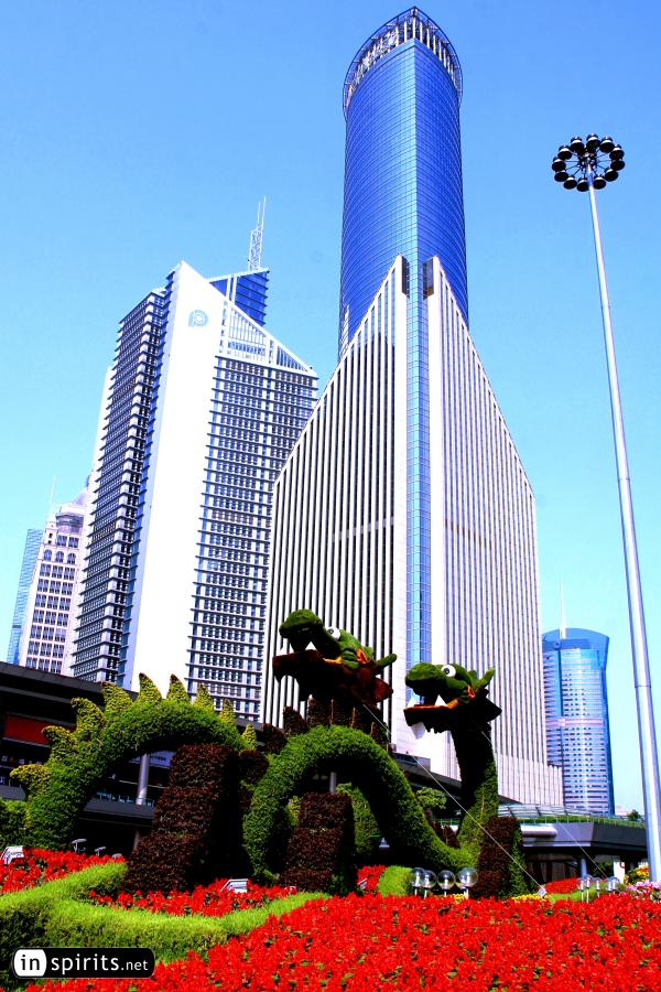 Dragons gazing at Shanghai's skyscrapers