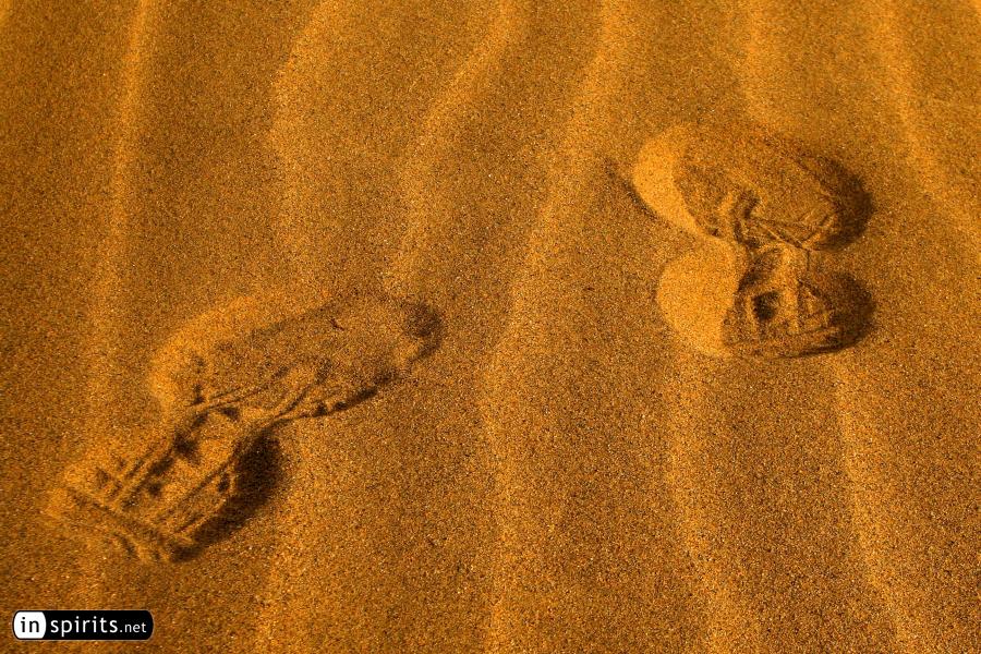 Foot print in the Gobi desert