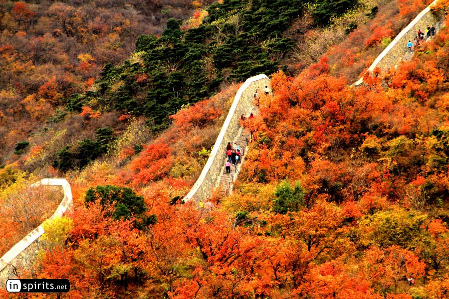 Autumn Colors at Fragrant Hills Park in Beijing