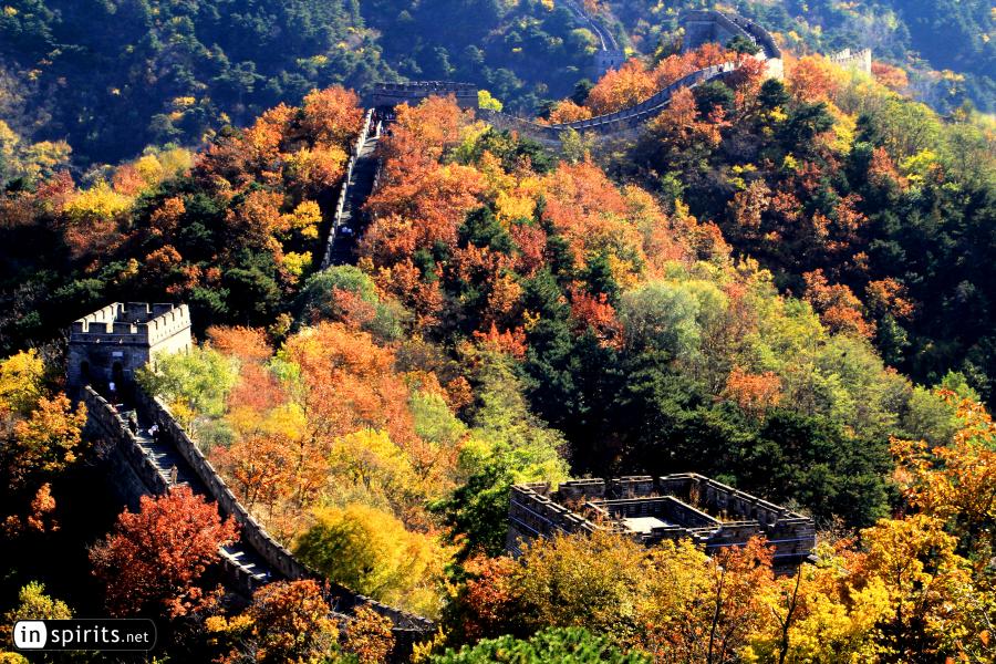 The Great Wall of Mutianyu explodes in autumn colors