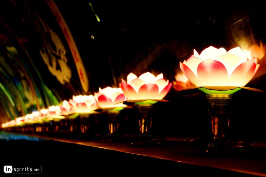 Lotus Lamps in Guilin