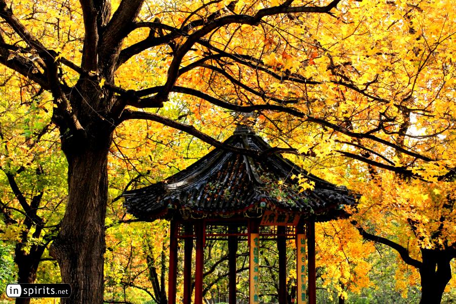 Pavilion amidst autumn colors in a Beijing Park