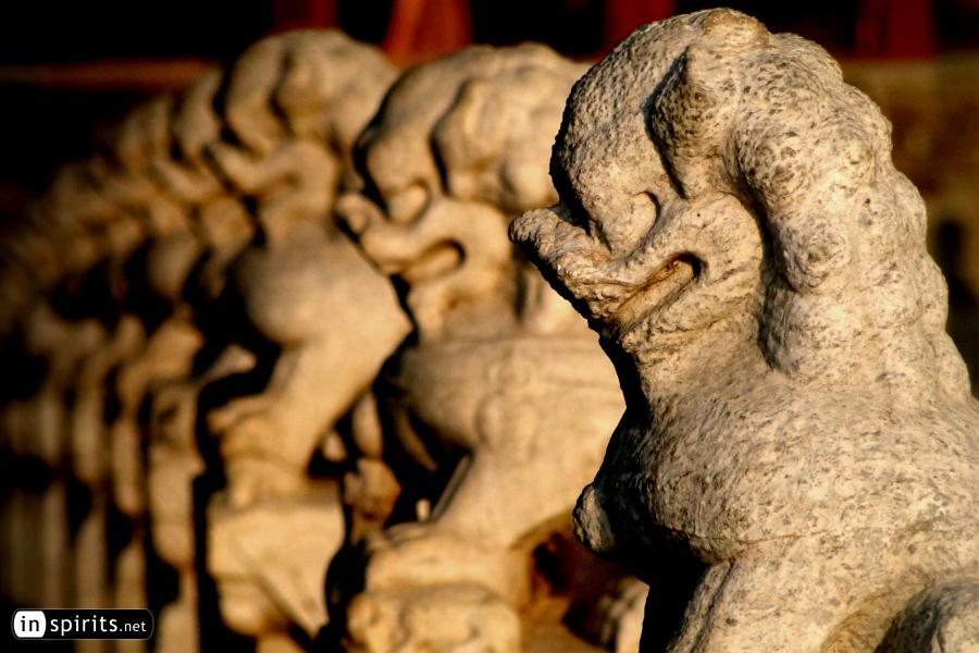 Stone lions in Beijing's summer palace