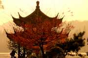 Pavilion of Fire