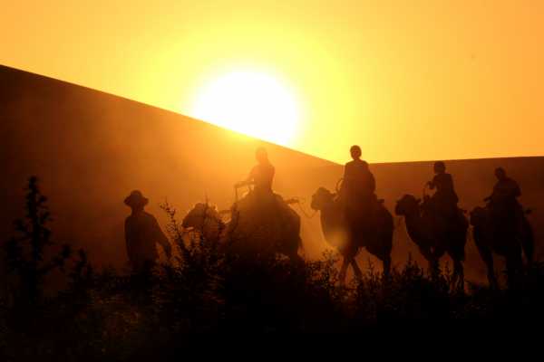 A camel trek riding in the sunset in Dunhuang's Gobi Desert