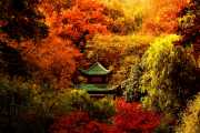 Red Leaf Pavilion