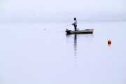 Fishing in the Fog