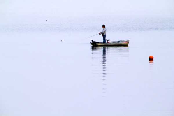 Morning Fishing at Foggy Kawaguchi Lake