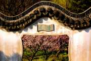 The Flower Gate