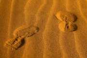 One Small Step