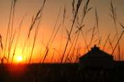 Grassland Rising