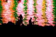 Light Waves