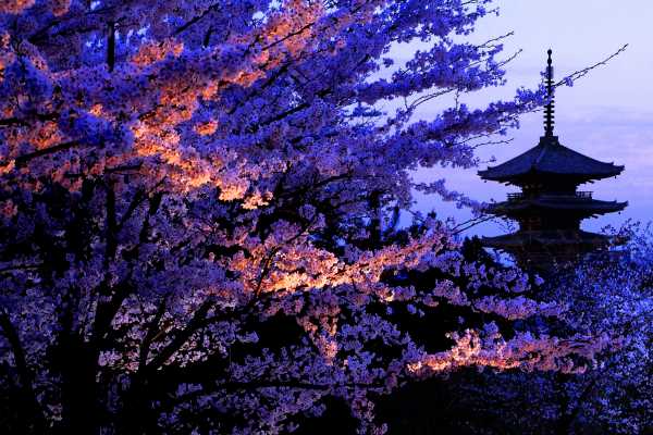 Mysteries of Japan