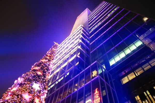 Christmas Tree