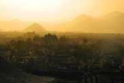 Mountain Gold
