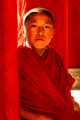 Little Buddha