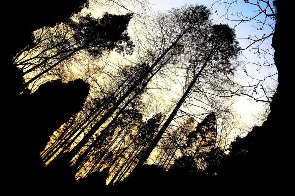 Canyon